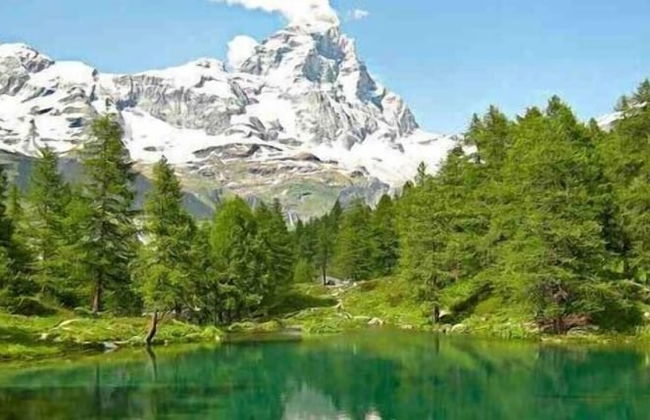 Il Tulipano - Foto 32