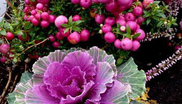 Attico&Nuvole - Foto 5