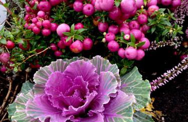 Attico&Nuvole - Foto 5