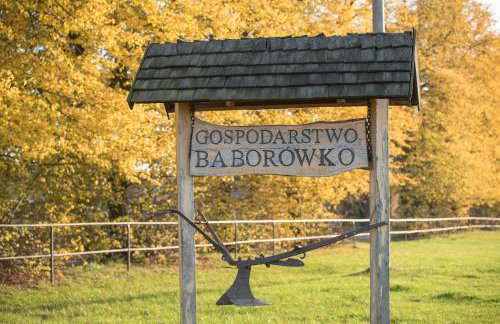 Pałac Baborówko - Foto 44