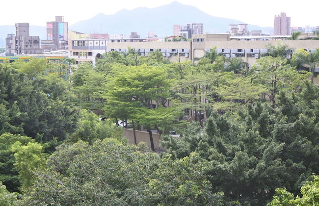 Tianmu Star hotel - Photo 32