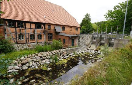 Ferienwohnungen am Krakower See - Foto 35