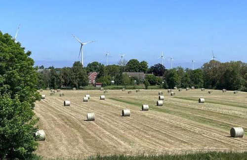 Ferienhaus am Deich mit Küche, Balkon und Smart-TV - Photo 24