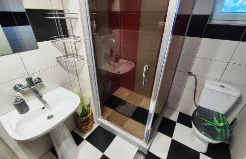 Brzozowa Chatka - Dom nad Jeziorem - Wellness & Ceragem - Foto 21