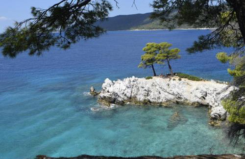 Lemon House - Foto 39