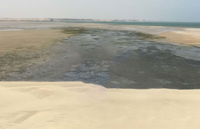 Dajli White Dune 4x4 Private Tour - Foto 1