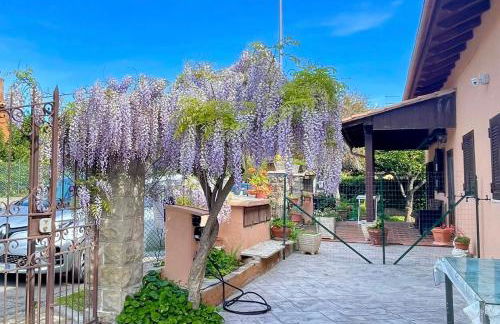 Il Glicine di Luna - Foto 1