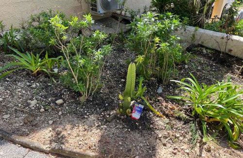 Villa aux portes de la Sainte Baume - Foto 43