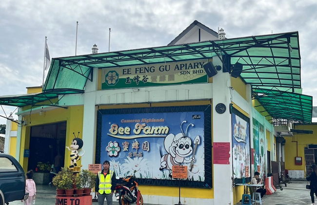 The Retreat mountain view at Cameron - Photo 48