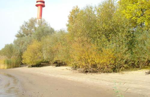 Apartment Elbe-Ferienwohnung mit Terrasse nah am Zentrum by Interhome - Foto 36