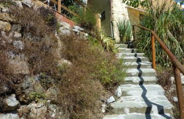 Fraseneggi - Foto 54