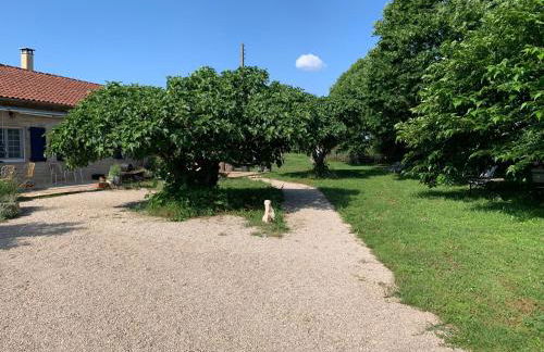gîte La Longère bleue - Foto 4