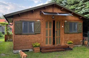 Butelkowa Zieleń - Foto 17