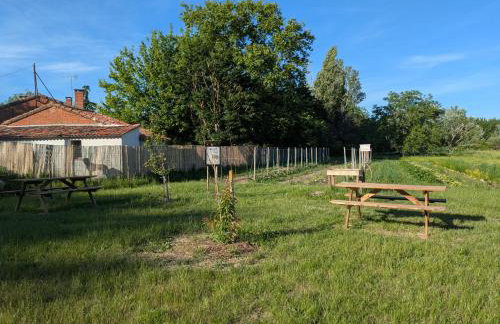 Ferme Pédagogique Bordeneuve - Foto 14