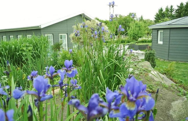 Kærskovgård ferielejligheder - Foto 46