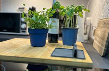 Finki's Ferienwohnungen - Foto 11