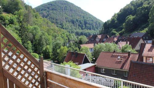 Gemütliche Ferienwohnung bei Braunlage - Foto 4