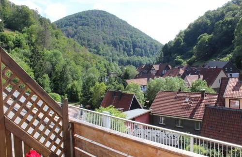 Gemütliche Ferienwohnung bei Braunlage - Foto 4