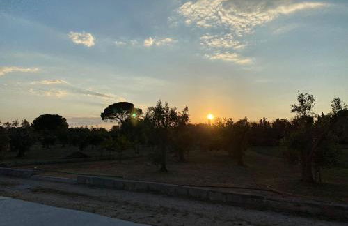 Uliveto Sant' Isidoro - Foto 52