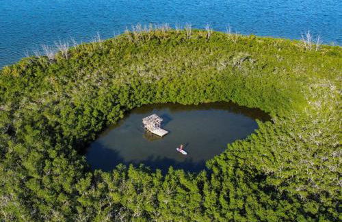 Tiny Home on Waterfront, Bay Views, Deck, Pool - Photo 30