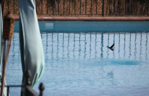 Cortijo Huerta Galindo - Foto 35