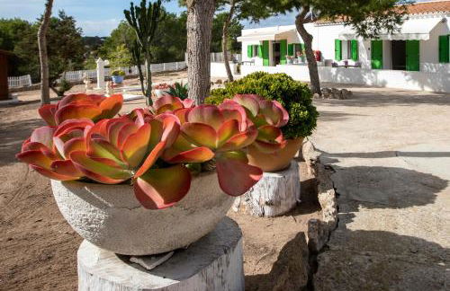 Apartamentos Can Guasch Formentera - Foto 61