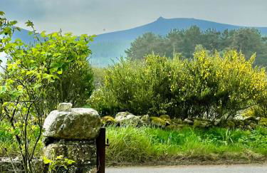 Cosy Country House in Deeside - Foto 40