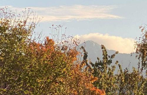 Crash Pad Bed and Breakfast - Foto 42