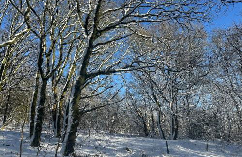 Dukes Well - Photo 7