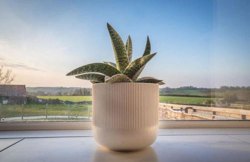 Luxurious Complex: 2 barns together edge of Frome - Photo 71