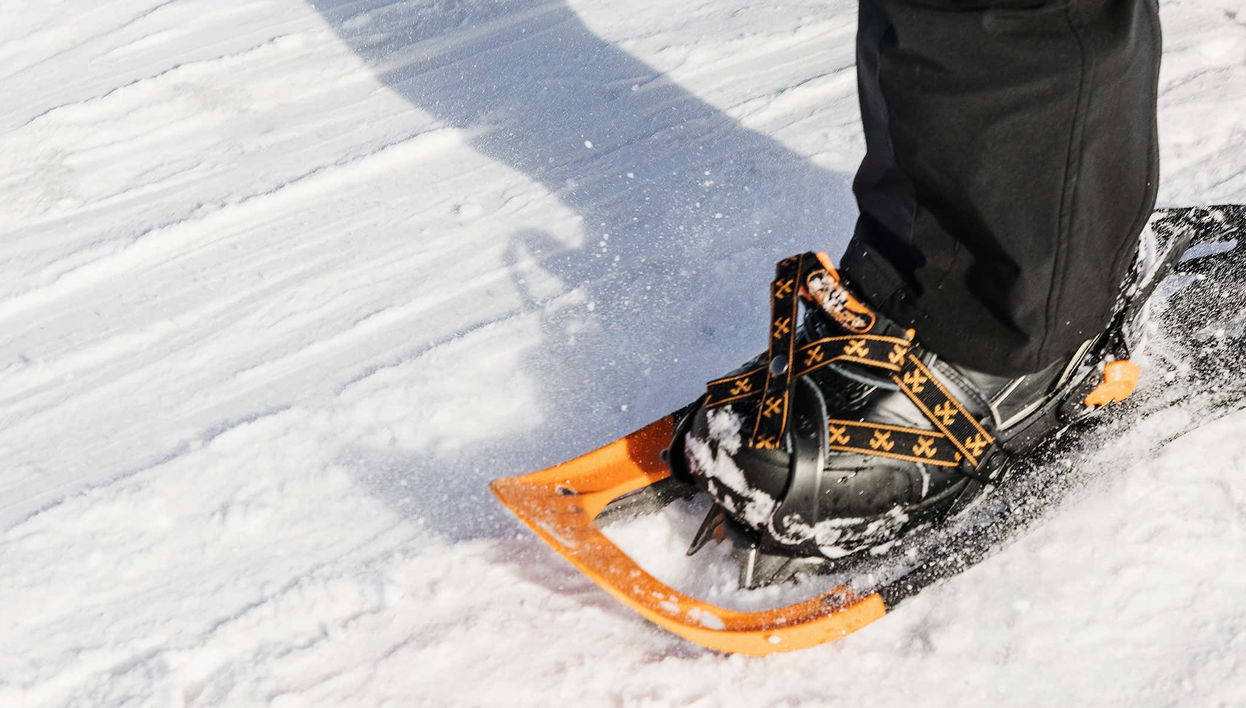 Balade en raquettes à neige