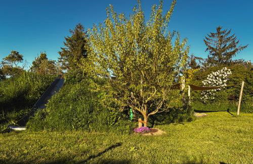 Ferienhaus Makrele von 1877 - Foto 22