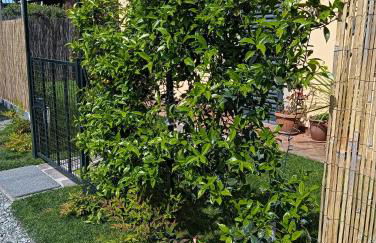 Casa Vacanze Rustico Di Corte - Foto 38