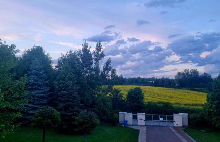 Rezydencja Pod Platanem - Photo 32