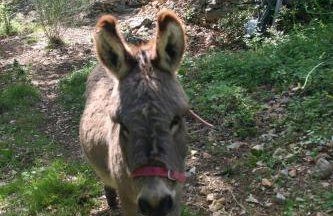 La Cabane Féerique Le Clos des Perles - Foto 25
