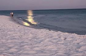 "Glamtainer" One of a kind Romantic Luxe Retreat, 8 Minutes to Emerald Beach, Outdoor Haven - Foto 7