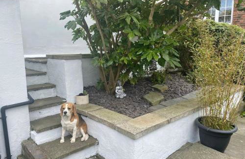 Sunshine Cottage - Photo 15