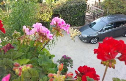 villa xenia - Foto 43