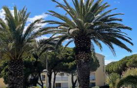 APPARTEMENT T2 GRUISSAN PLAGE DANS RÉSIDENCE CALME - Foto 1