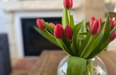 Gîte Saint Joseph - Foto 20