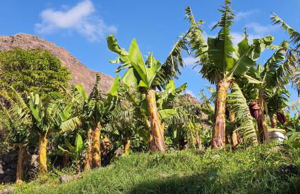 ALAYNA´S HOMES - Foto 50