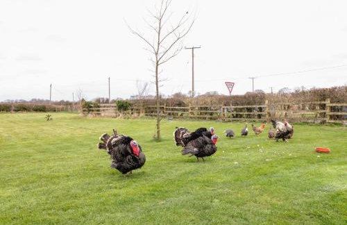 Bellamour End Cottage - Foto 34