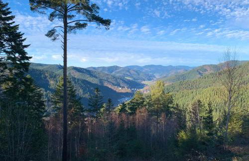 Ferienwohnung zur Bierliebe - Mit toller Aussicht im Herzen des Schwarzwaldes - Foto 52