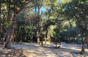 Studio apartman Pegi - Photo 24