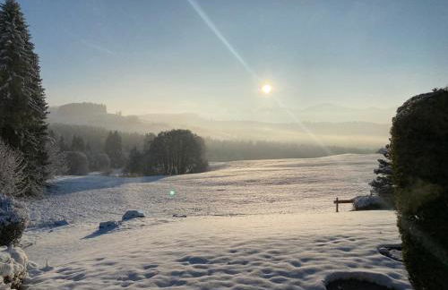 Neu - Ferienwohnung Allgäuparadies - Traumhafte Aussichten mitten in der Natur des Westallgäus - Foto 21