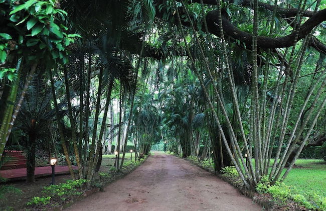 Mancotta Heritage Chang Bungalow - Foto 22