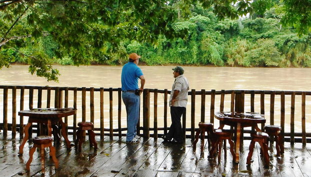 Macaws and Montes Azules Reserve from Palenque - Foto 5