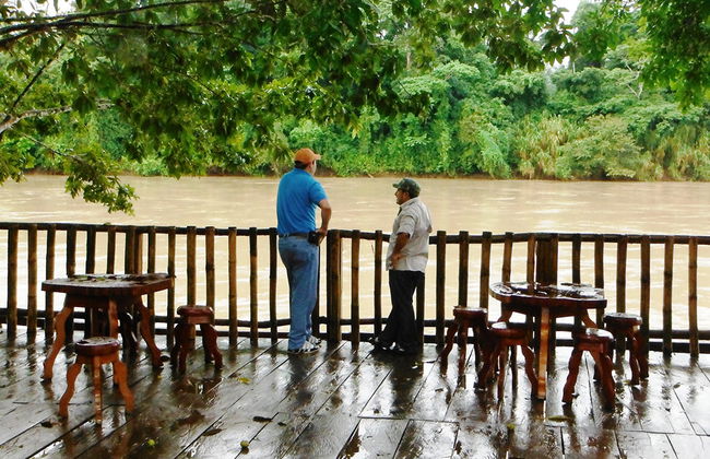 Macaws and Montes Azules Reserve from Palenque - Foto 5