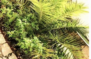 A 2 pas de la plage de la Vallières - Foto 18