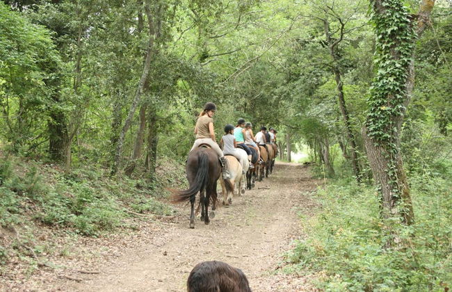 Domaine de Fraisse - Photo 42